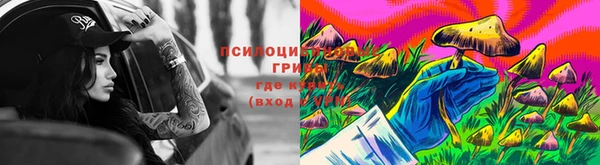 мяу мяу кристалл Иннополис