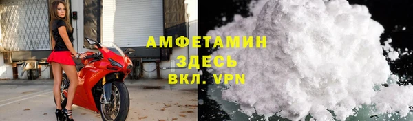 прущие грибы Инсар