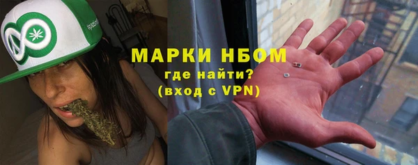 прущие грибы Инсар