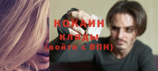 прущие грибы Инсар