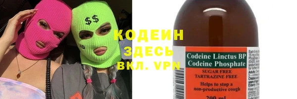 прущие грибы Инсар