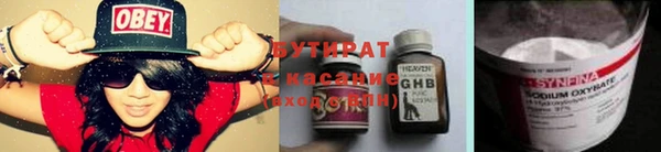 прущие грибы Инсар
