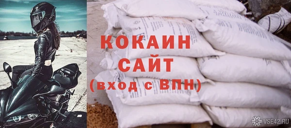 прущие грибы Инсар