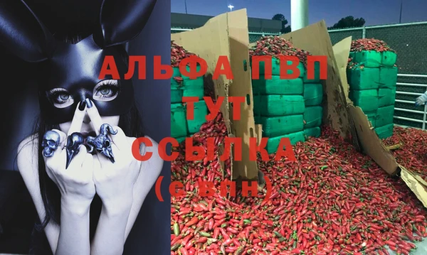 прущие грибы Инсар
