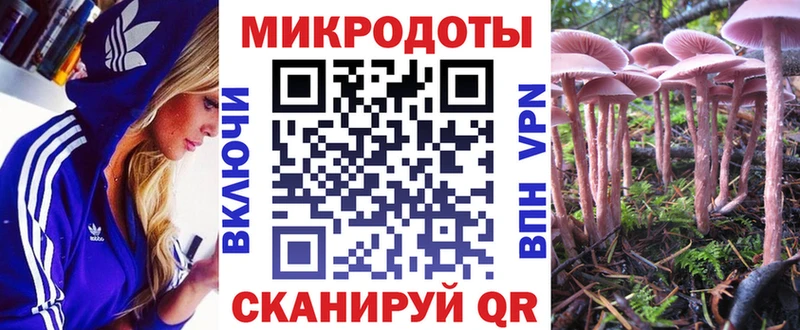 Галлюциногенные грибы Cubensis  купить наркотик  Серов 